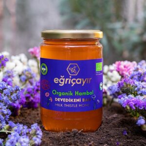 Miel naturel de chardon-Marie, 850G